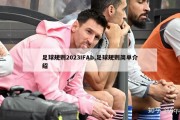 足球规则2023IFAb,足球规则简单介绍