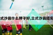 立式沙袋什么牌子好,立式沙袋结实吗