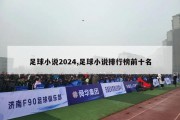 足球小说2024,足球小说排行榜前十名