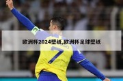 欧洲杯2024壁纸,欧洲杯足球壁纸