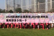 2024欧洲杯比赛用球,2024欧洲杯比赛用球多少钱一个