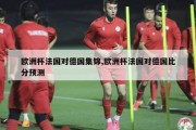 欧洲杯法国对德国集锦,欧洲杯法国对德国比分预测