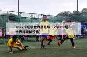 2022卡塔尔世界杯足球（2022卡塔尔世界杯足球价格）