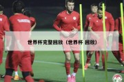 世界杯完整回放（世界杯 回放）