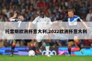 托雷斯欧洲杯意大利,2022欧洲杯意大利