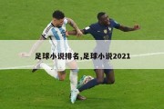 足球小说排名,足球小说2021