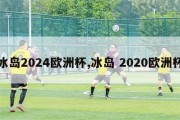 冰岛2024欧洲杯,冰岛 2020欧洲杯