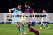 2014年世界杯（2014年世界杯阿根廷阵容）