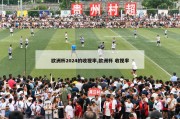 欧洲杯2024的收视率,欧洲杯 收视率