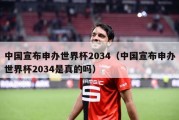 中国宣布申办世界杯2034（中国宣布申办世界杯2034是真的吗）