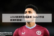 cctv5欧洲杯在线直播（cctv5节目欧洲杯重播）