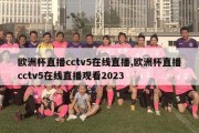 欧洲杯直播cctv5在线直播,欧洲杯直播cctv5在线直播观看2023