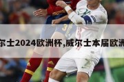 威尔士2024欧洲杯,威尔士本届欧洲杯