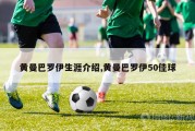 黄曼巴罗伊生涯介绍,黄曼巴罗伊50佳球