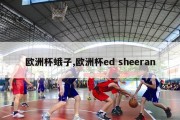 欧洲杯蛾子,欧洲杯ed sheeran