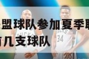 nba发展联盟球队参加夏季联赛吗,nba发展联盟有几支球队