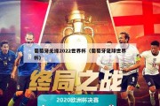 葡萄牙无缘2022世界杯（葡萄牙足球世界杯）