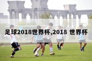 足球2018世界杯,2018 世界杯