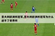 意大利欧洲杯冠军,意大利欧洲杯冠军为什么进不了世界杯