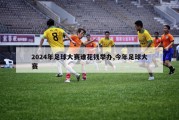 2024年足球大赛谁花钱举办,今年足球大赛